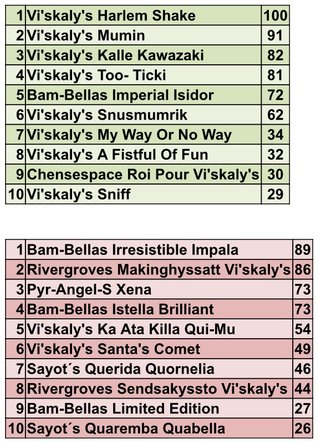 Årets hund 2016